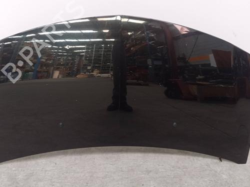 Used Hood RENAULT CLIO III (BR0/1, CR0/1) 1.5 dCi (75 hp) 13409402