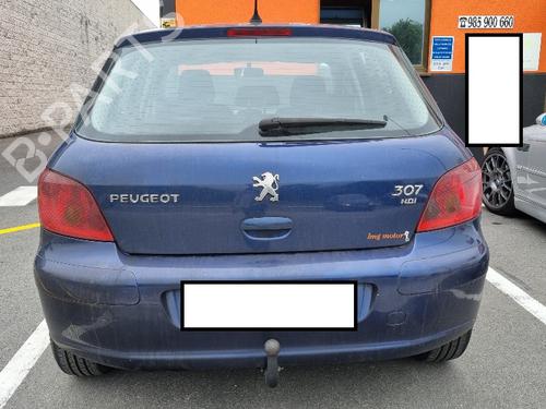 Tailgate PEUGEOT 307 (3A/C) 1.6 HDi | BP19543115C6 