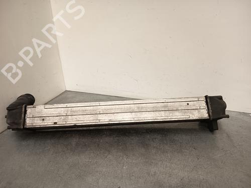 Intercooler RENAULT MEGANE III Hatchback (BZ0/1_, B3_) 1.5 dCi (BZ09, BZ0D, BZ1W, BZ29, BZ14) | BP28412811M30
