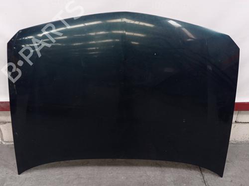 Used Hood RENAULT LAGUNA II (BG0/1_) 1.9 dCi (BG12) (116 hp) 8931399