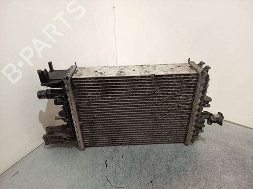 Water radiator DACIA LODGY (JS_) | BP40515480M31 - Image 4