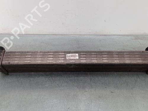 Used Intercooler SEAT IBIZA IV (6J5, 6P1) [2008-2017]  25785451