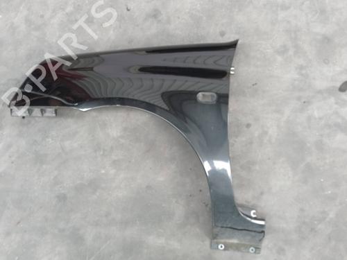 Used Left front fenders RENAULT CLIO II (BB_, CB_) [1998-2016]  29641254