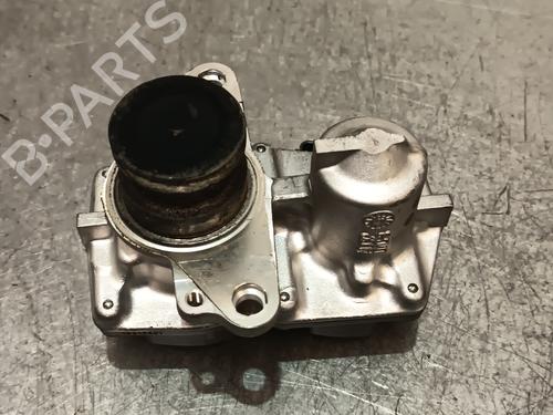 Egr NISSAN QASHQAI / QASHQAI +2 I (J10, NJ10, JJ10E)  | BP28196459M69 