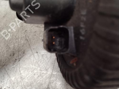Support CITROËN XSARA Coupe (N0) 2.0 HDI 90 | BP24210503C155 
