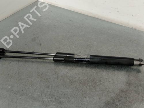 Used Tailgate lift support SKODA FABIA II (542) 1.2 (60 hp) 20726628