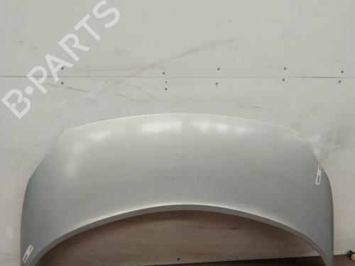 Hood RENAULT SCÉNIC II (JM0/1_) 1.9 dCi (JM0G, JM12, JM1G, JM2C) | BP2257725C1 
