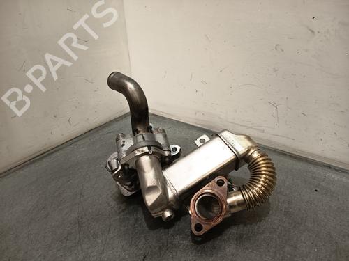 Egr NISSAN QASHQAI / QASHQAI +2 I (J10, NJ10, JJ10E)  | BP28196457M69 