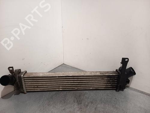 Intercooler NISSAN KUBISTAR Van (X76) dCi 85 | BP40226459M30 - Image 2