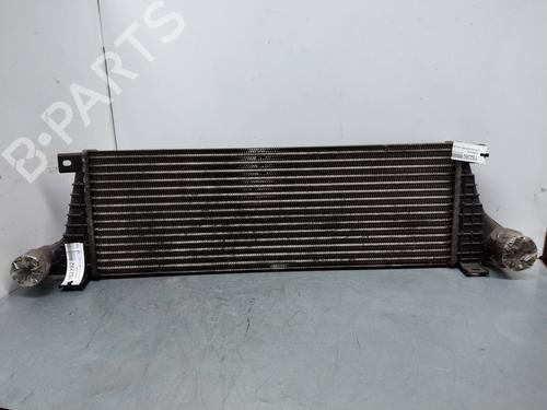 Intercooler Intercooler SANTANA PS10/ANIBAL [2002-2026] 17703044 17703044