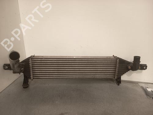 Intercooler NISSAN QASHQAI / QASHQAI +2 I (J10, NJ10, JJ10E)  | BP28061241M30 