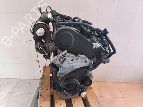 Engine VW GOLF VI (5K1) 2.0 TDI | BP33043041M1  - Image 10