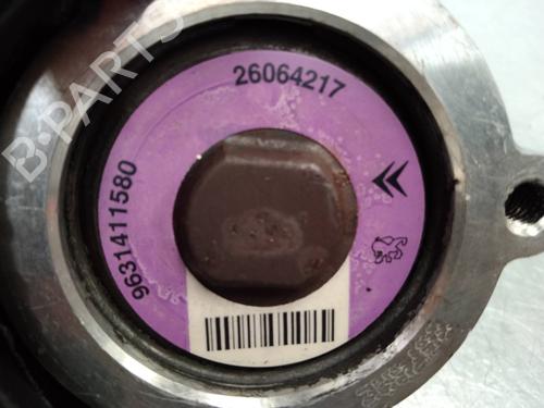 Steering pump PEUGEOT 206 Hatchback (2A/C) 1.4 LPG | BP2257497M99 
