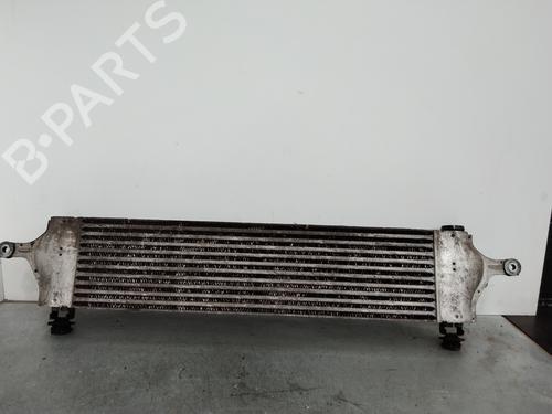 Intercooler NISSAN QASHQAI +2 (JJ10E)  | BP29537017M30 