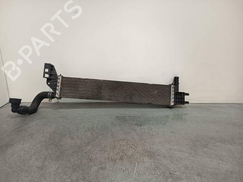 Water radiator DACIA LODGY (JS_) | BP40436073M31 - Image 3