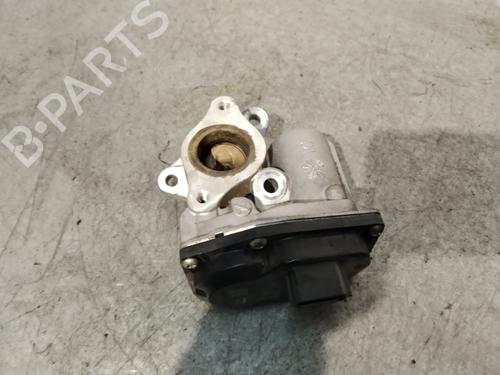 Egr RENAULT KANGOO / GRAND KANGOO II (KW0/1_)  | BP23424519M69