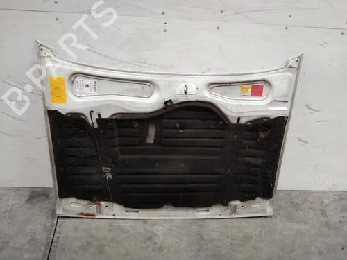Hood RENAULT RAPID Box Body/MPV (F40_, G40_) 1.9 D (F40R) | BP2245347C1