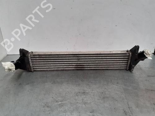 Intercooler DACIA SANDERO 1.5 dCi (68 hp) 7201664