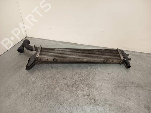 Water radiator DACIA LODGY (JS_) | BP40436073M31 - Image 4