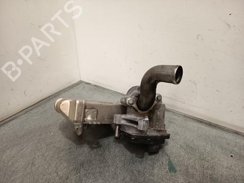 Egr NISSAN QASHQAI / QASHQAI +2 I (J10, NJ10, JJ10E)  | BP28196457M69 