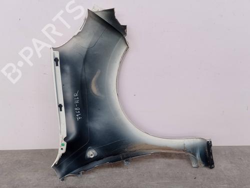 Left front fenders RENAULT KANGOO / GRAND KANGOO II (KW0/1_) 1.5 dCi 70 (KW0V, KW0A) | BP18960886C41 