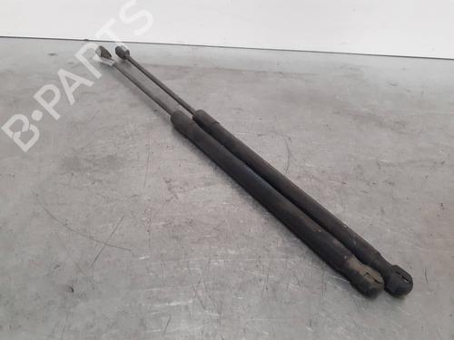 Used Tailgate lift support FORD FIESTA VI (CB1, CCN) 1.4 TDCi (70 hp) 14220485