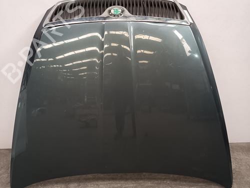 Hood SKODA OCTAVIA II Combi (1Z5) 1.9 TDI BP27660351C1