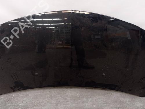 Used Hood RENAULT CLIO III (BR0/1, CR0/1) 1.5 dCi (BR0H, CR0H, CR1S, BR1S) (106 hp) 2253640