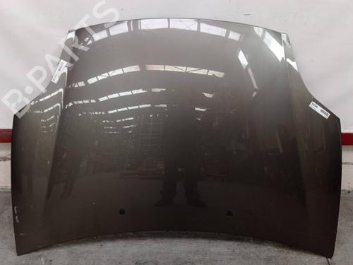 Used Hood FIAT BRAVO II (198_) 1.6 D Multijet (198AXH1B) (105 hp) 2245900
