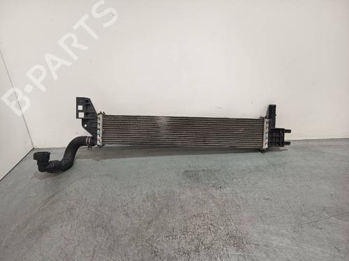 Used Water radiator Water radiator DACIA LODGY (JS_) [2012-2026] 40436073 40436073