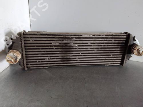 Intercooler RENAULT TRAFIC II Bus (JL) 1.9 dCI 100 (JL0C) (101 hp) 16492794