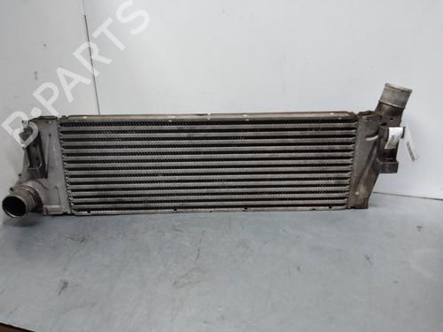 Used Intercooler RENAULT MEGANE II Saloon (LM0/1_) 1.9 dCi (LM0G, LM1G, LM2C) (120 hp) 2250604