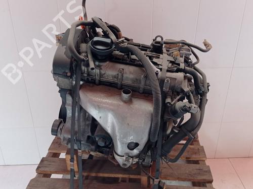Engine SEAT IBIZA III (6L1)  | BP2253443M1 