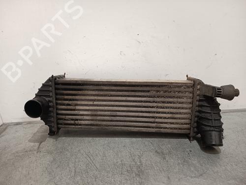 Used Intercooler RENAULT KANGOO / GRAND KANGOO II (KW0/1_) 1.5 dCi 85 (KW0K, KW0L, KW0B) (86 hp) 28198408