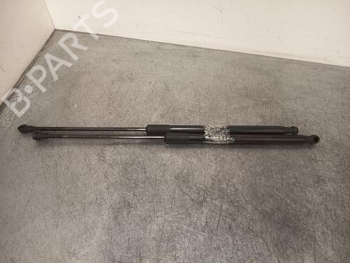 Tailgate lift support NISSAN QASHQAI I (J10, NJ10)  | BP28321251C138