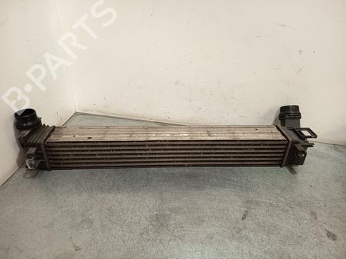 intercooler-renault-megane-iii-hatchback-bz01_-b3_-2008-36807523 main image