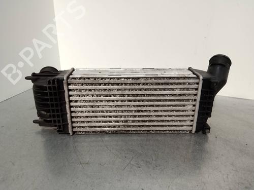 Intercooler CITROËN C5 III (RD_) 2.0 HDi (RDRHD8, RDRHDJ, RDRHR8, RDRHRJ) | BP16293248M30 