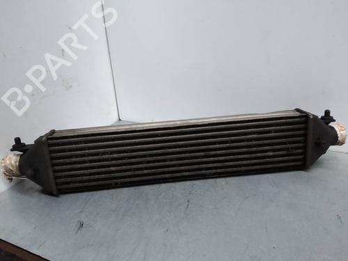 Used Intercooler FIAT BRAVO II (198_) 1.9 D Multijet (198AXB1A) (120 hp) 2246049