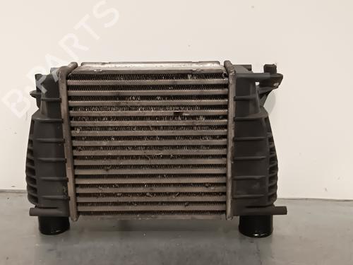 Intercooler NISSAN JUKE (F15)  | BP27701234M30 