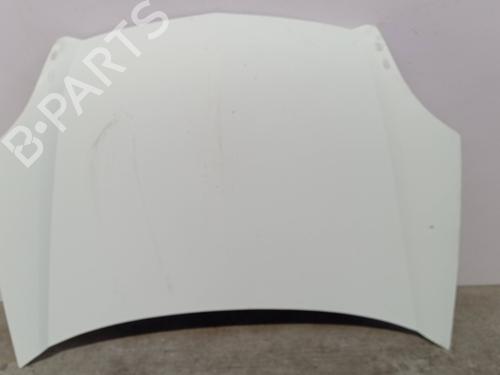 Used Hood RENAULT KANGOO (KC0/1_) D 65 1.9 (KC0E, KC02, KC0J, KC0N) (64 hp) 16906546