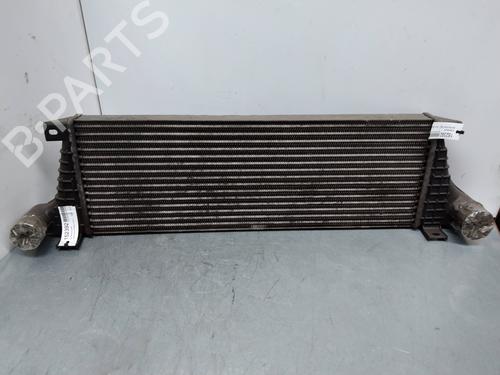 Intercooler SANTANA PS10/ANIBAL | BP17703044M30 - Image 2