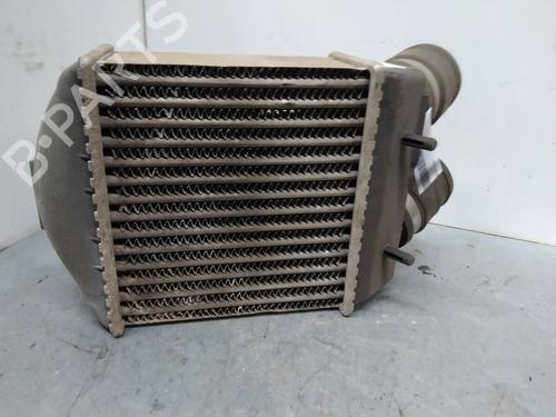 Used Intercooler RENAULT 19 I (B/C53_) [1988-1994]  12443477
