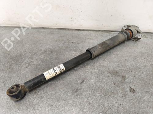 Used Left rear shock absorber Left rear shock absorber SEAT IBIZA III (6L1) [2002-2009] 33986256 33986256