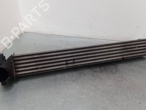 Intercooler SEAT IBIZA IV (6J5, 6P1)  | BP25785451M30 