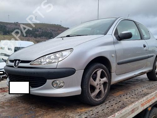 Left front door PEUGEOT 206 Hatchback (2A/C) 2.0 HDI 90 | BP32423558C2 