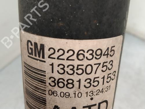 Left rear shock absorber OPEL MERIVA B MPV (S10)  | BP24610854M18 