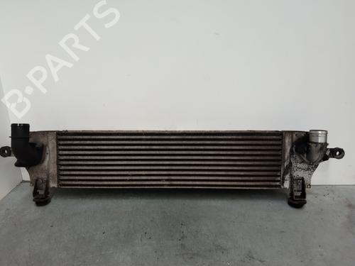 Intercooler NISSAN QASHQAI +2 (JJ10E)  | BP29537017M30 