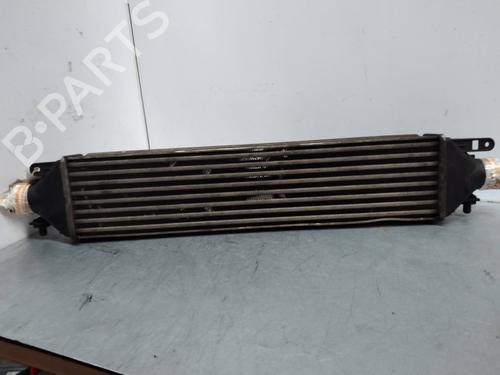Intercooler FIAT BRAVO II (198_) 1.9 D Multijet (198AXB1A) | BP2246049M30 