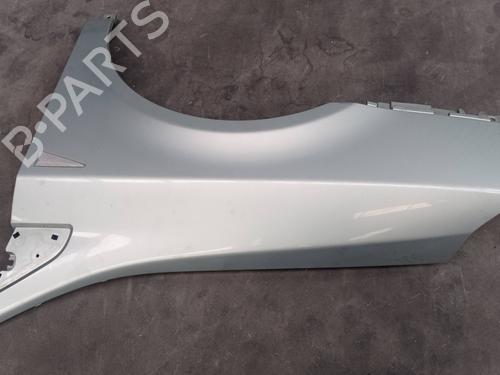 Left front fenders RENAULT VEL SATIS (BJ0_) 2.2 dCi (BJ0E, BJ0F) | BP9757684C41 
