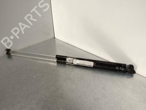 Used Tailgate lift support PEUGEOT 106 II (1A_, 1C_) 1.5 D (57 hp) 14219629